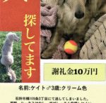 新型コロナウイルスに対する動物病院の対応