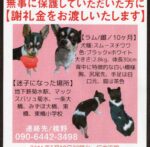 新型コロナウイルスに対する動物病院の対応