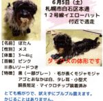 新型コロナウイルスに対する動物病院の対応